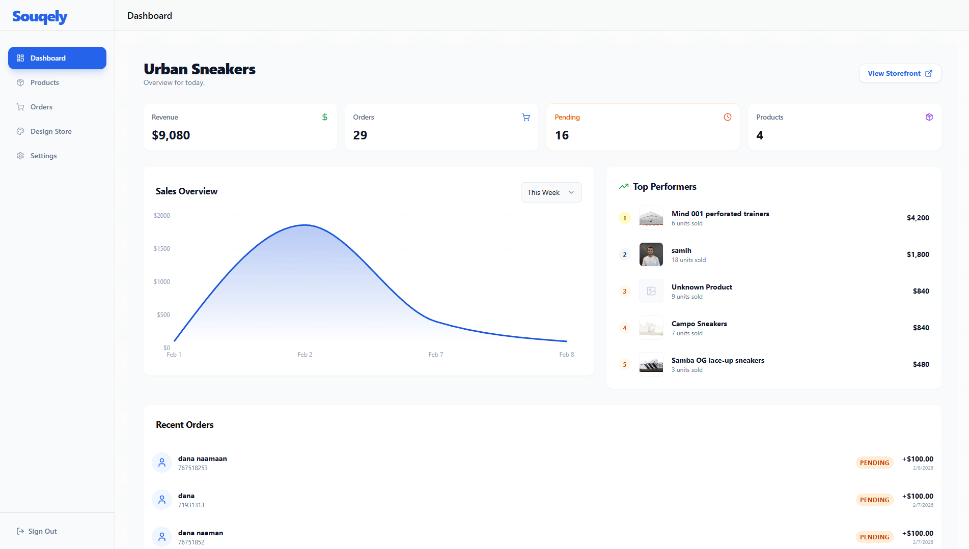 Souqely Dashboard Interface